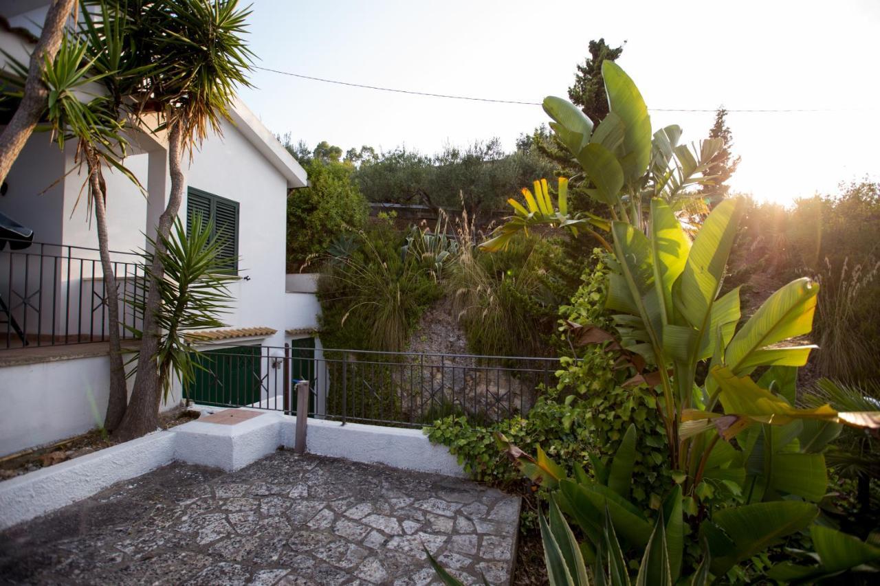 Villa Nadia Con Splendida Vista Mare Castellammare del Golfo Eksteriør billede